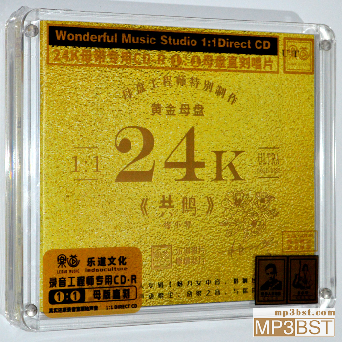 梅小琴《共鸣2023》1∶1黄金母盘版[WAV/320K-mp3]