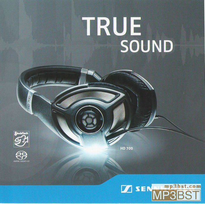 群星《TRUE SOUND_真实的声音》2012森海塞尔HD700示范盘[FLAC/320K-mp3]