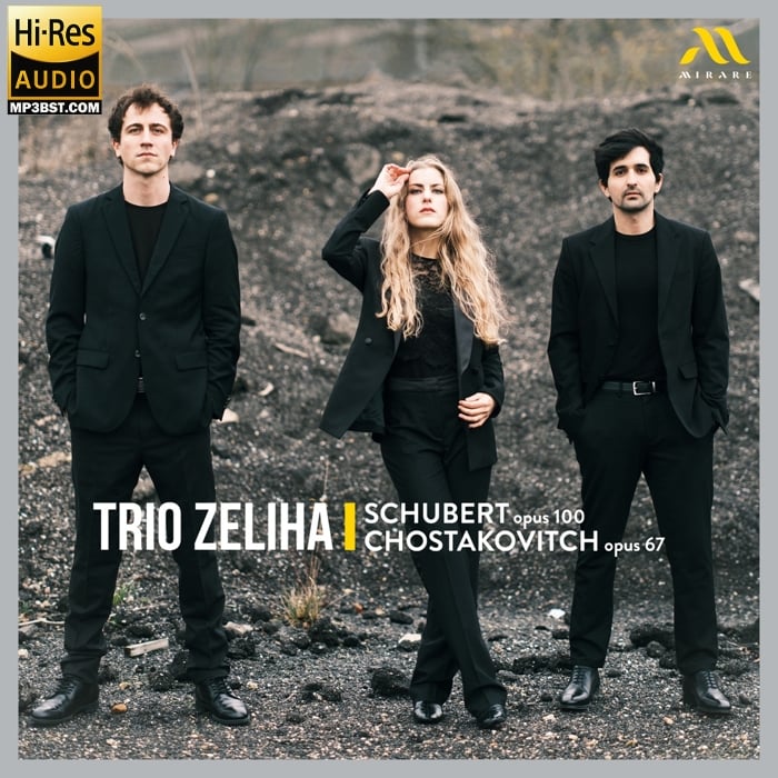 Trio Zeliha - Schubert Op. 100 - Chostakovitch Op. 67(舒伯特作品100、肖斯塔科维奇作品67) (2024)[Hi-Res 96kHz_24bit FLAC]